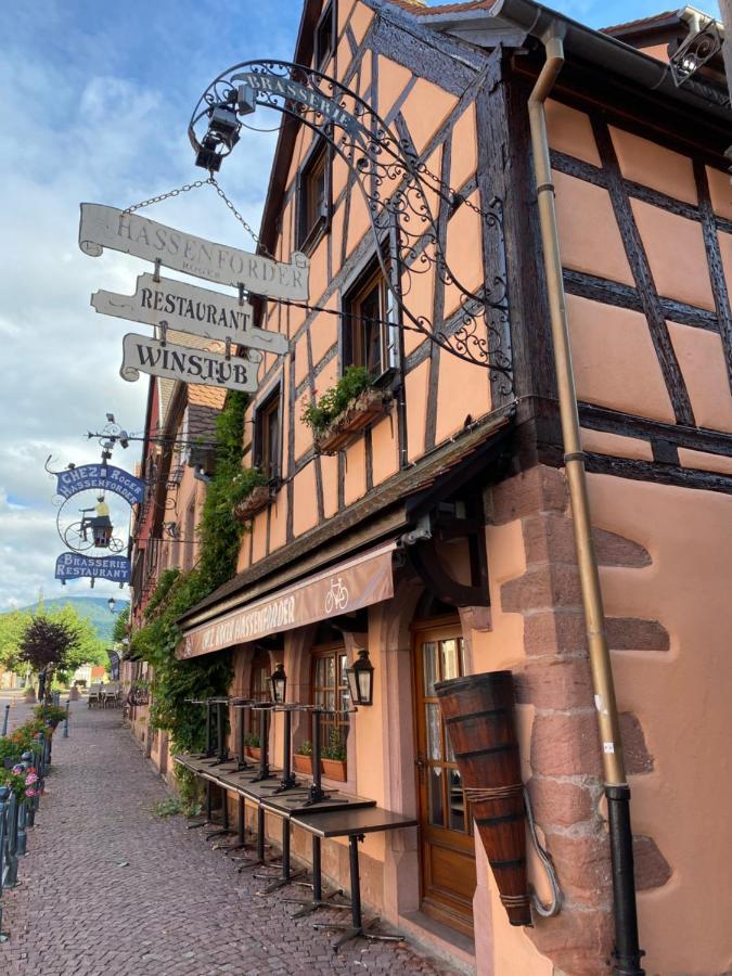Appartement Le Keiler Kaysersberg-Vignoble Exterior photo